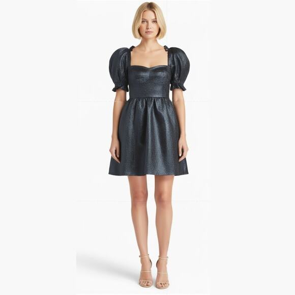 Saloni Dress 4 NWT - Picture 1 of 11